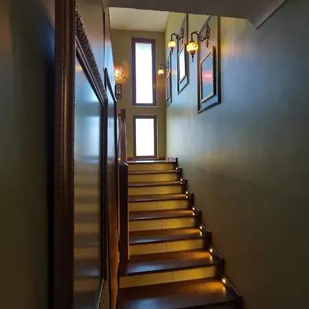 فيلة Hemithea هيسارونو