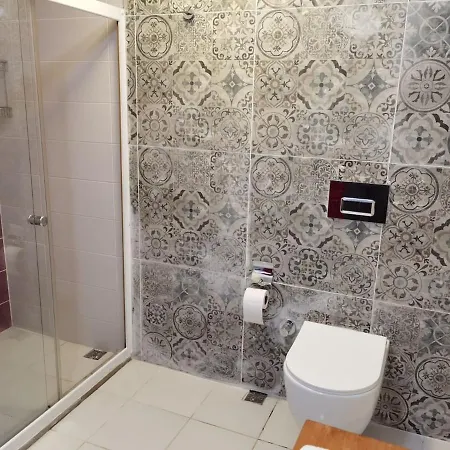 فيلة Hemithea هيسارونو